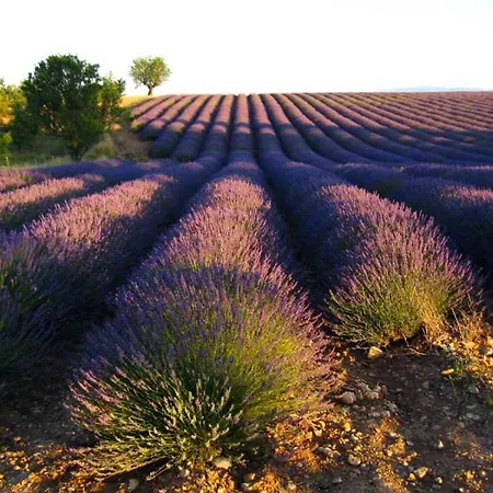 L'aixalte - T2, Vieille * Aix-en-Provence
